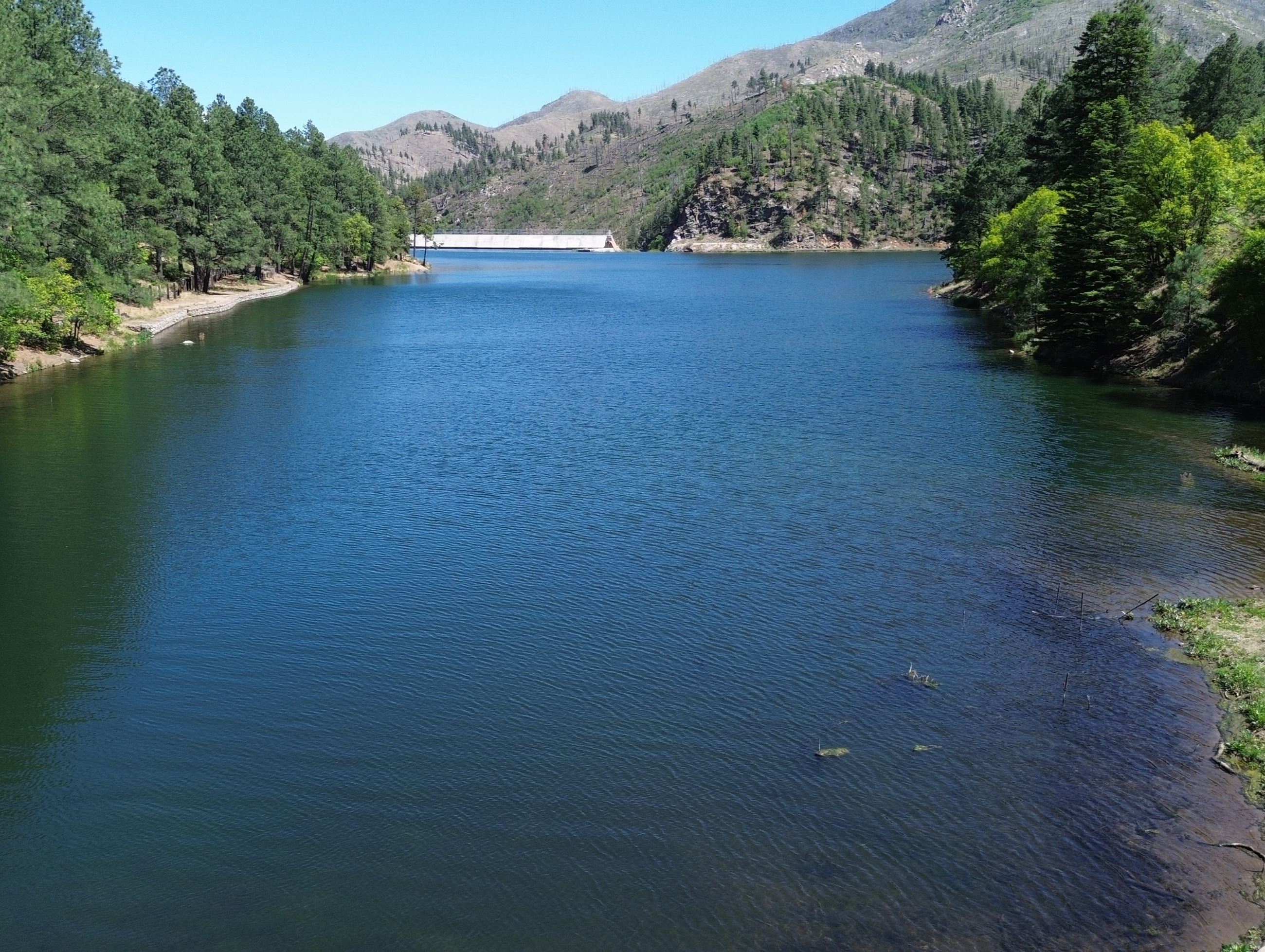 A high angle view of Bonito Lake in the daytime. Photo credit: Melissa Garnett, NMDGF