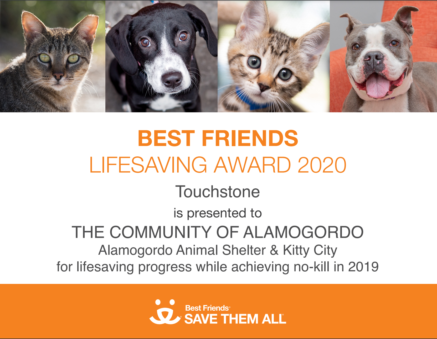 Best friends lifesaving award certificate 2020.