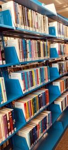 Blue bookshelves full of books